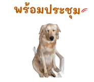 872432941