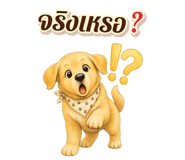 872434698