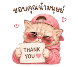 เหมียวบอสสายคูล รูปที่ 1