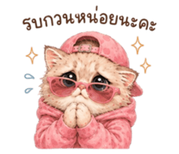 เหมียวบอสสายคูล รูปที่ 2