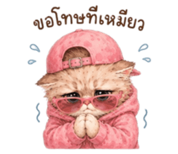 เหมียวบอสสายคูล รูปที่ 3