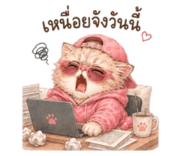 เหมียวบอสสายคูล รูปที่ 10