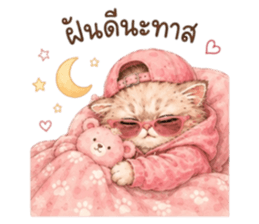 เหมียวบอสสายคูล รูปที่ 11