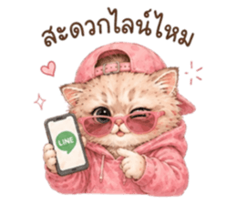 เหมียวบอสสายคูล รูปที่ 14