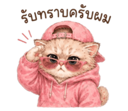 เหมียวบอสสายคูล รูปที่ 17