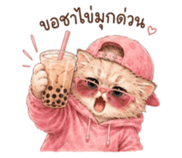 เหมียวบอสสายคูล รูปที่ 18