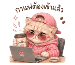 เหมียวบอสสายคูล รูปที่ 19