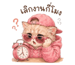 เหมียวบอสสายคูล รูปที่ 21