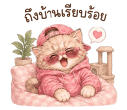 เหมียวบอสสายคูล รูปที่ 25