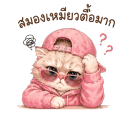 เหมียวบอสสายคูล รูปที่ 28