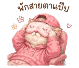 เหมียวบอสสายคูล รูปที่ 29