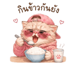 เหมียวบอสสายคูล รูปที่ 30