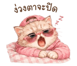 เหมียวบอสสายคูล รูปที่ 33