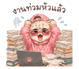 เหมียวบอสสายคูล รูปที่ 39