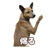 872455112