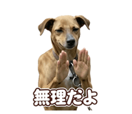 872455119