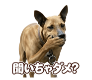 872455120
