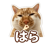 872455175