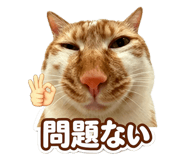 872455179