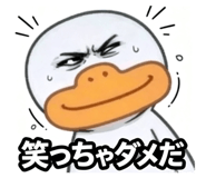 872455258