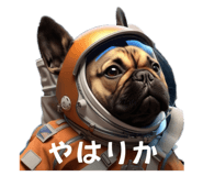 872455993