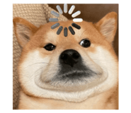 872464802