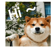 872464807