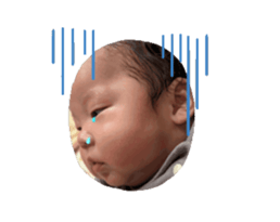 872466442