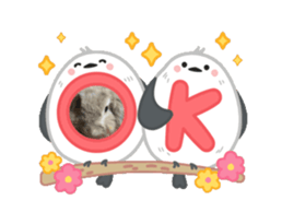 872482413
