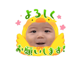 872483294