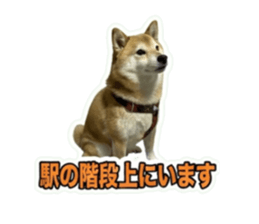872496587