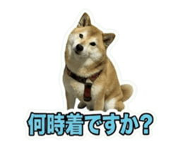 872496588