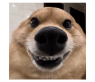 872499410