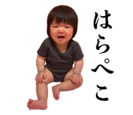 872501294