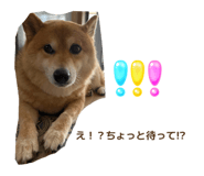 872508578