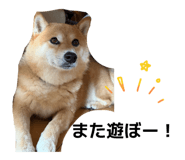 872508580