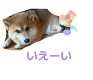 872508584