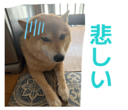 872508585