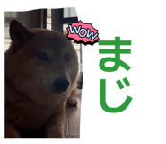 872508586