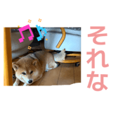 872508588