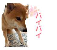872508589