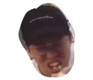 87253735