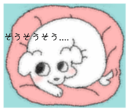 872565550
