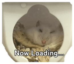 872566565