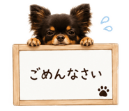 872594316