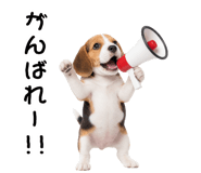 872625196