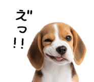 872625204