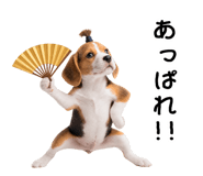 872625206