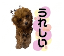 872633707
