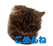 872650601